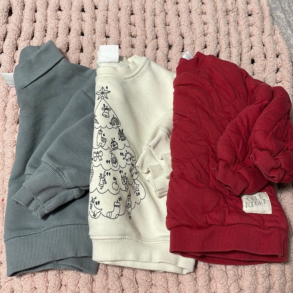 Baby Zara crewnecks